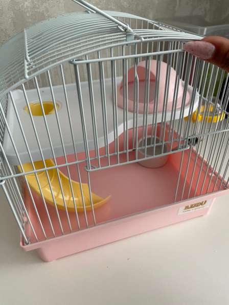 Клетка для хомяка в Комсомольске-на-Амуре фото 3