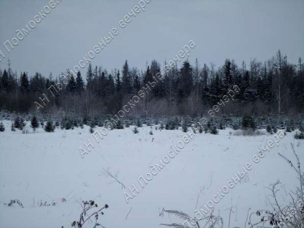 realty_mapper3.plot_in_locationПлощадь 253.00 сот.Есть Электричество, Газ. в Москве фото 26