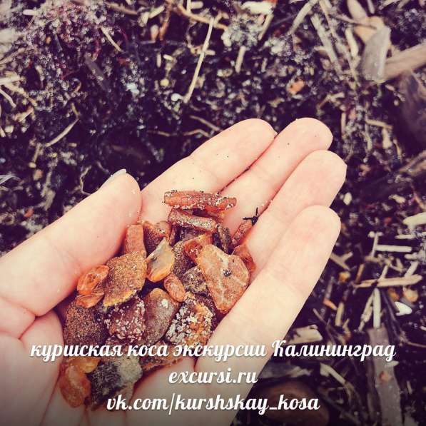 Экскурсии 