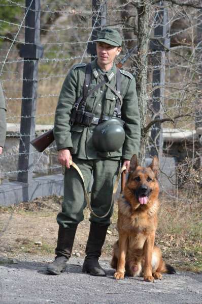 Черные и черно-рыжие щенки немецкой овчарки с документами в Севастополе фото 12