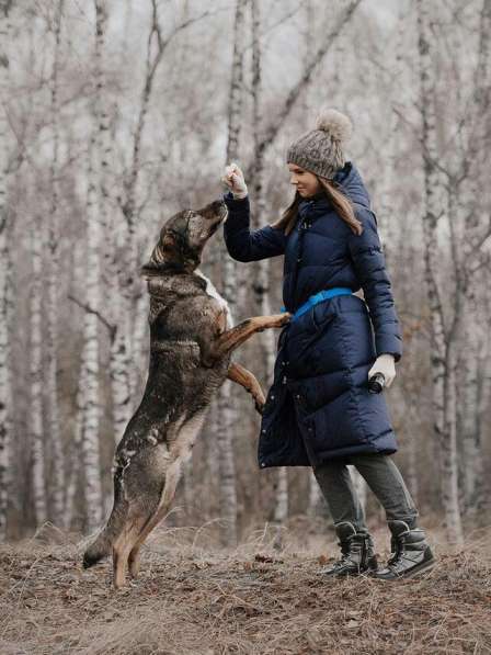 Надёжный Друг Курт ищет семью в Москве фото 51