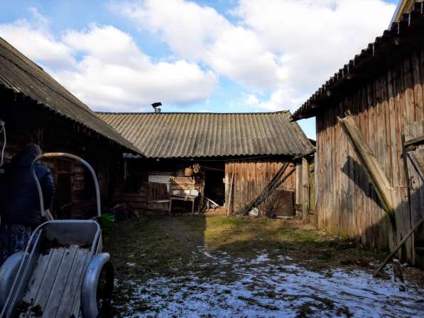 Добротный дом с хоз-вом уютной окраине села, 1 Га. земли в Пскове фото 18