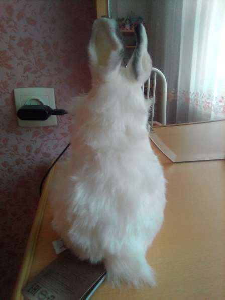 Белый Кролик Мягкая Игрушка 15х13х24см в Усть-Илимске