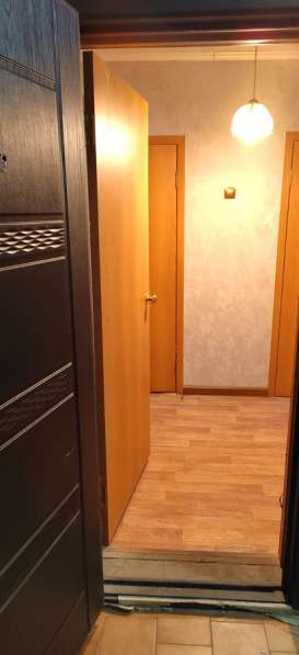 Сдам 1-к. квартиру. Политехническая 53