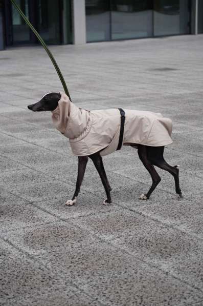 Одежда для собак всех размеров !! в фото 11