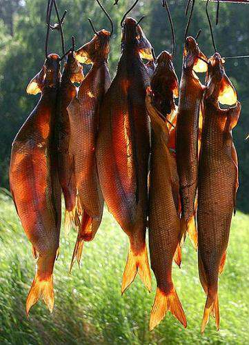 Хариус рыба в Красноярске фото 3