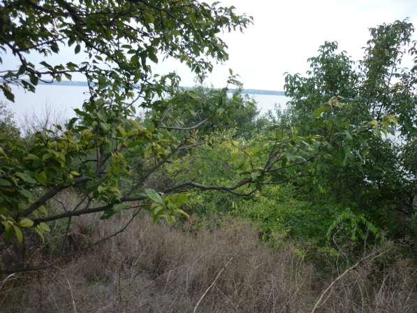 Продам земельный участок ИЖС х. Боркин 10 соток в Таганроге фото 7