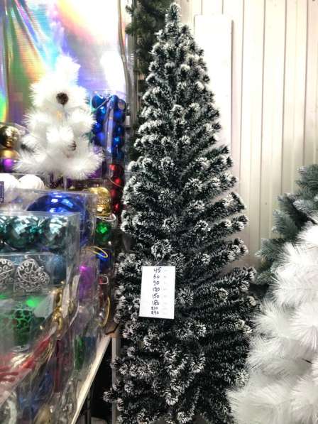 Пышные Ёлочки в Москве фото 4