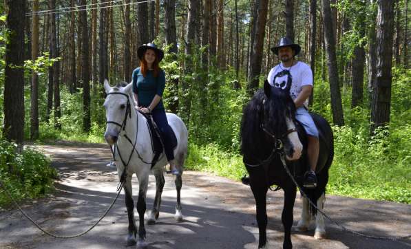 Катание на лошадях, романтика Красноярск в Красноярске фото 5