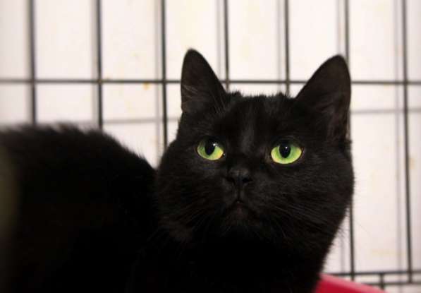 Загадочная Джина ждёт своего человека