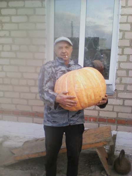 Петр, 52 года, хочет познакомиться – петр, 52 года, хочет пообщаться в Челябинске фото 3