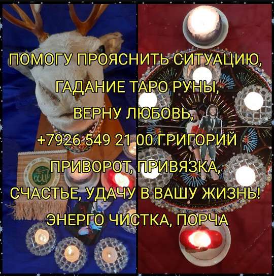 Книга в Сочи