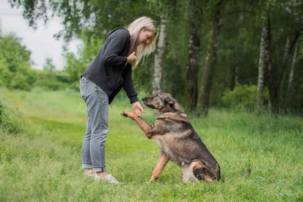 Надёжный Друг Курт ищет семью в Москве фото 36