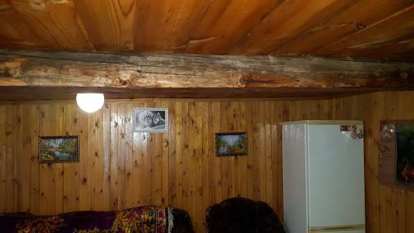 Продам садоогород в Ижевске фото 20