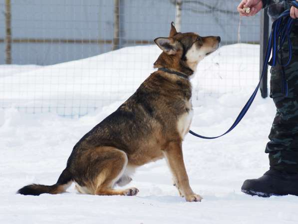 Жду тебя, мой Человек в Москве