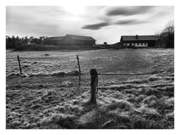 Срочно ищем дом в Москве фото 5