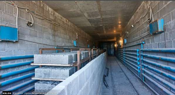 Сушка жби в Москве фото 5