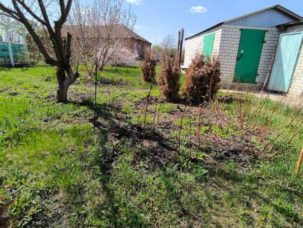 Продам дом в д. Дмитриевка в Елеце фото 3