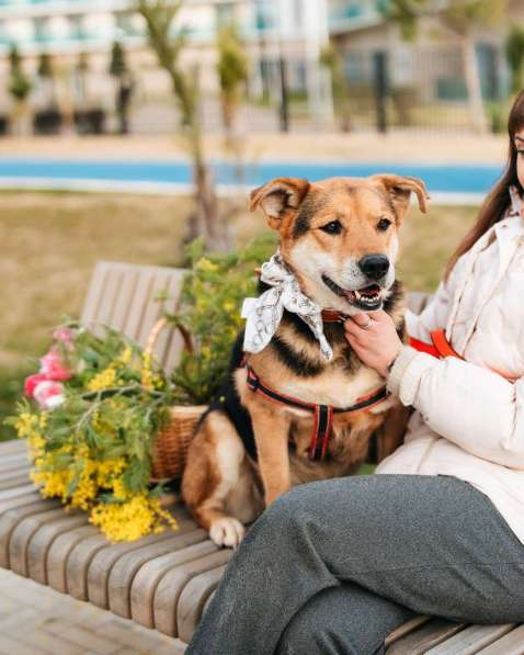 Толстушка ждёт родителей! в Москве фото 6