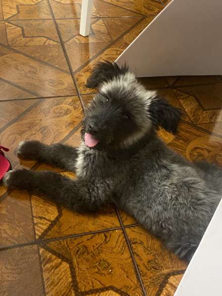 Красивая, умная, добрая