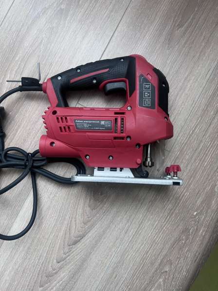 Лобзик в Санкт-Петербурге фото 3