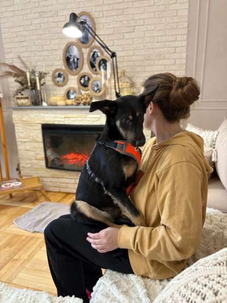 Маленькая лапочка ищет дом в Санкт-Петербурге фото 8