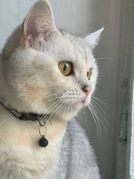 Прохорова,29 в Йошкар-Оле фото 5