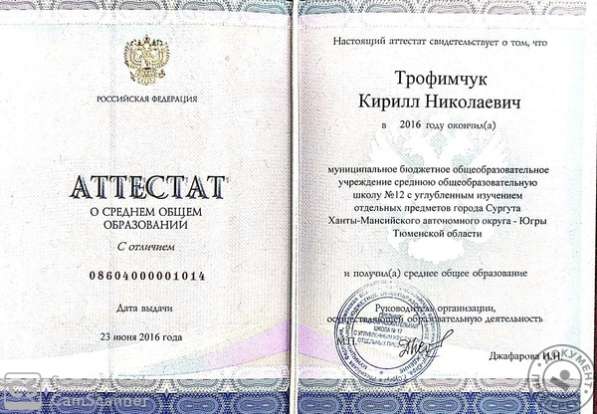 Репетитор физика в Сургуте фото 5