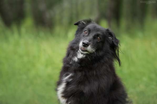 Весёлая, ласковая Чукча ищет семью в Москве фото 25