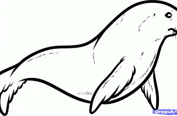 Карнизы Гардины в фото 6