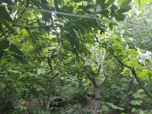 Ровный участок на 7км СТ Горнодолинный в Севастополе фото 11