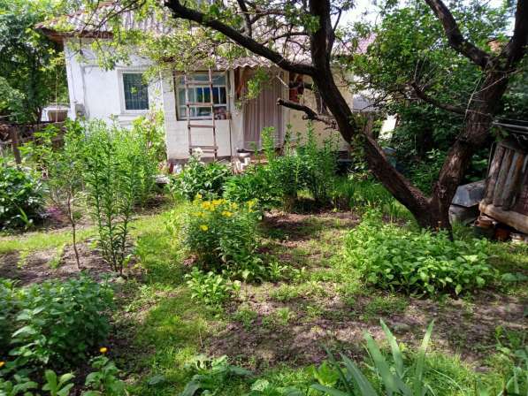 Дом в Кролевец Сумская украина в фото 4