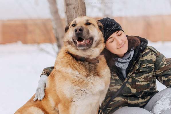 Кохинор ищет семью в Москве фото 11