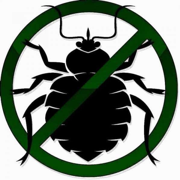 Дезинсекция