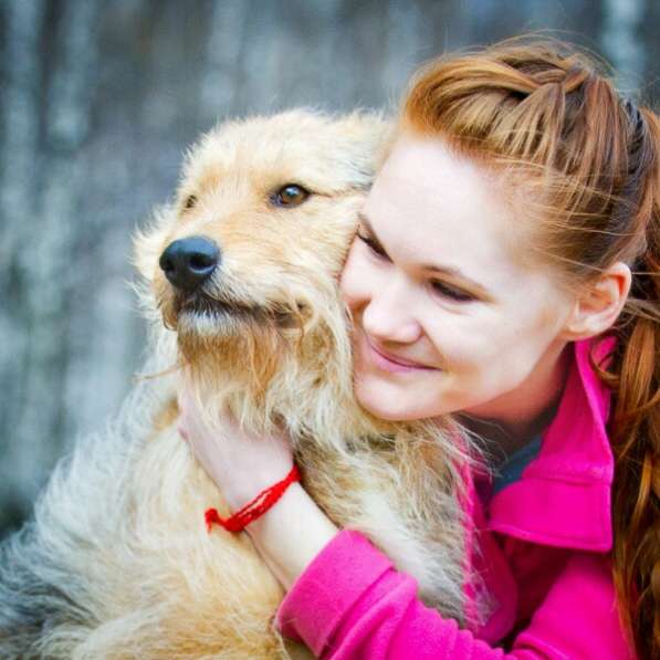 Трогательный Чарлик ищет дом в Москве фото 47