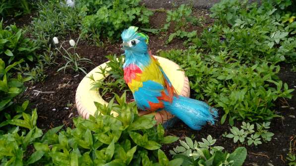 Красивые птички из пластиковых бутылок для украшения огорода в Екатеринбурге фото 8