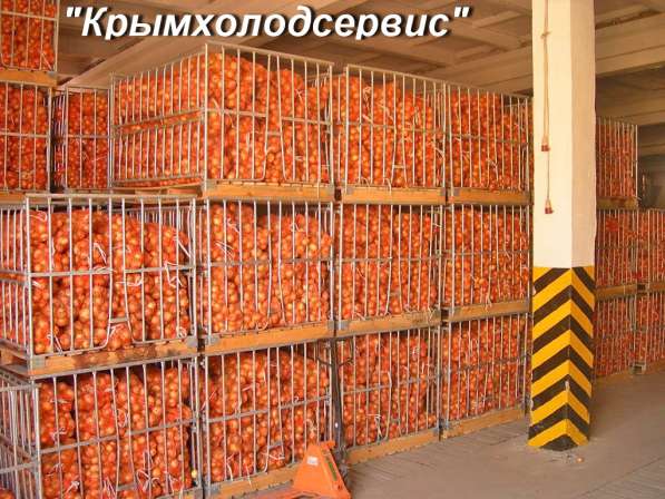 Овощные холодильные камеры в Крыму с установкой. Сервис 24 ч в Симферополе