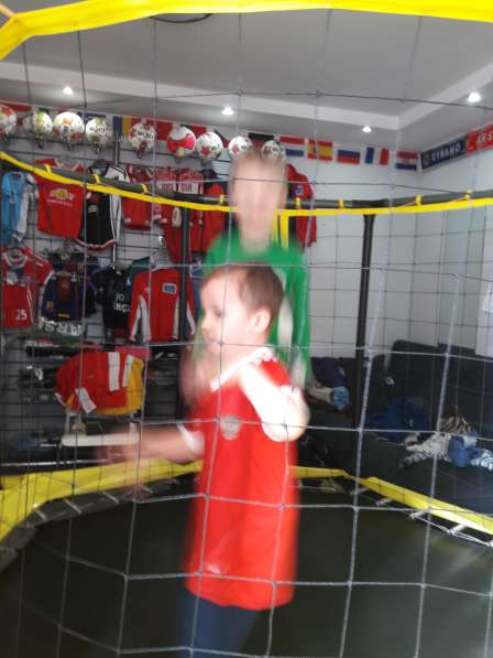 Футбол с 2 лет батут экипировка малышей зоомагазин в Лесном Городке фото 13