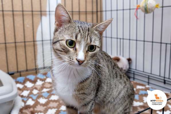 Тейлор хочет сделать вас счастливее в Москве фото 3