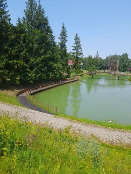 Продаётся база отдыха в Домодедове фото 23