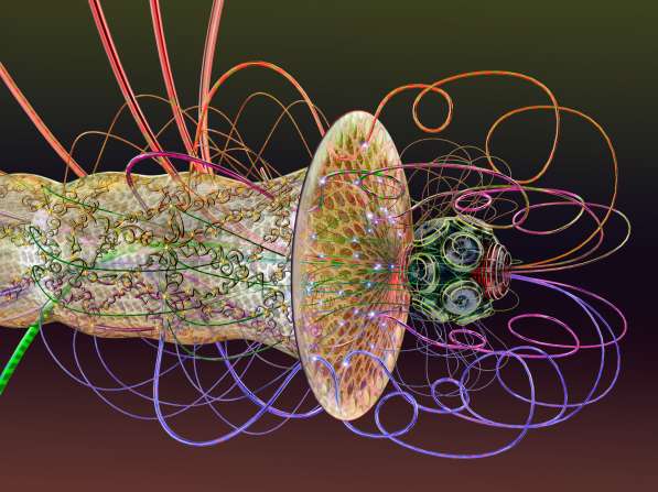 ВЕРОСОФИЯ и ВЕРОЛОГИЯ в Санкт-Петербурге фото 13