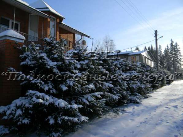 realty_mapper3.plot_in_locationСадовое некоммерческое тов-во. Площадь 10.00 сот.Есть Газ. в Москве фото 9