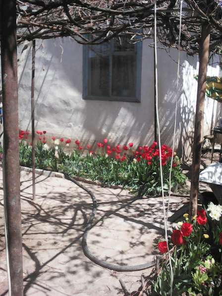 Продаю пол. дома на берегу Иссык-Куля