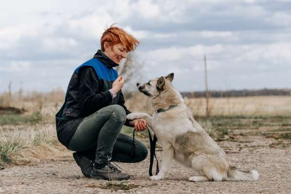 Суперактивная Халва в Москве фото 36