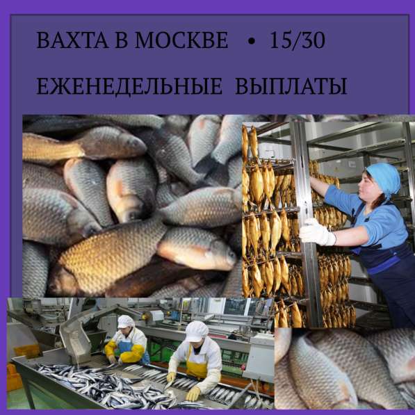ВАХТА. Обработчик рыбы в Москве