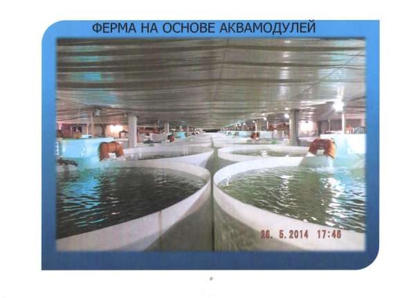 Продам оборудование по разведению рыбы! в Москве фото 4
