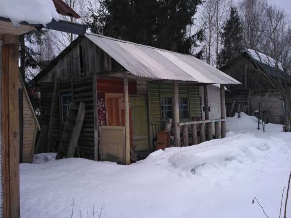 Дача массив Дивенская СНТ Лутиновка в Гатчине фото 5