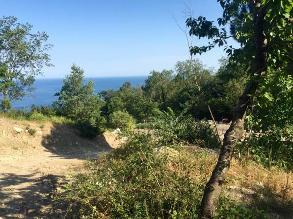 Продам участок в Крыму с видом на море в Алупке фото 5