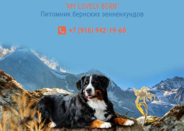 Щенки в Коломне фото 4