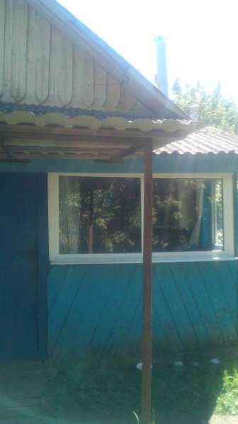 Продается дом в Беларуси Шкловский район, Могилевская обл в фото 5
